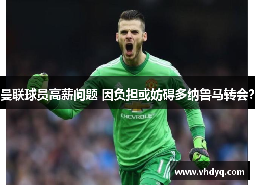 曼联球员高薪问题 因负担或妨碍多纳鲁马转会？